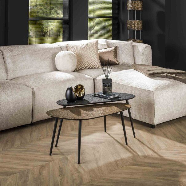 WoonStijl Salontafel set van 2 niervormig metallic zwart en antiek brass
