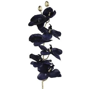 Kunsttak Phalaenopsis donkerblauw