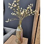 Kunsttak Prunus Mume S wit