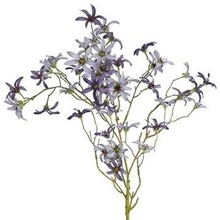 Kunsttak Magnolia stellata S blauw