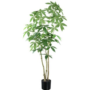 Geldboom in zwarte plastic pot