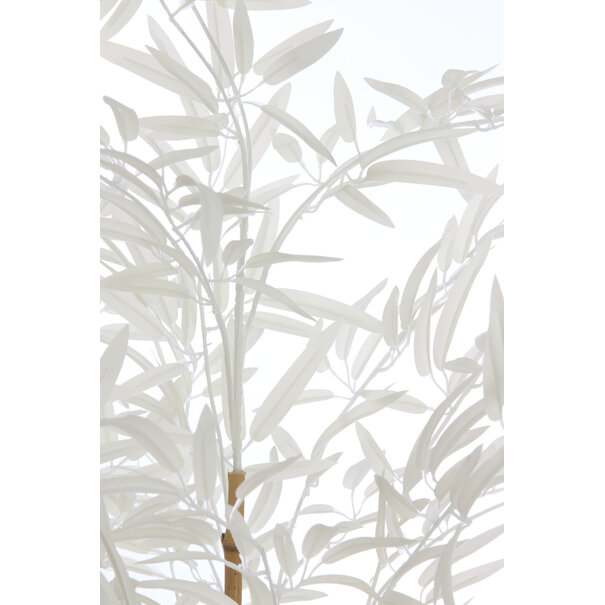Light & Living Ornament in pot 70x60x120 cm BAMBOO naturel+crème