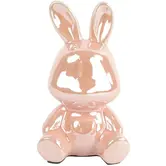 Spaarhaas Pascal L roze