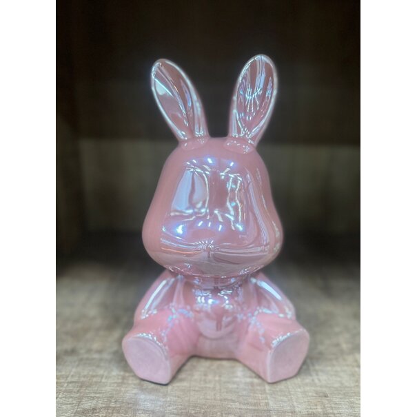 Countryfield Spaarhaas Pascal L roze