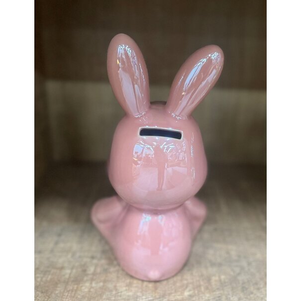 Countryfield Spaarhaas Pascal L roze