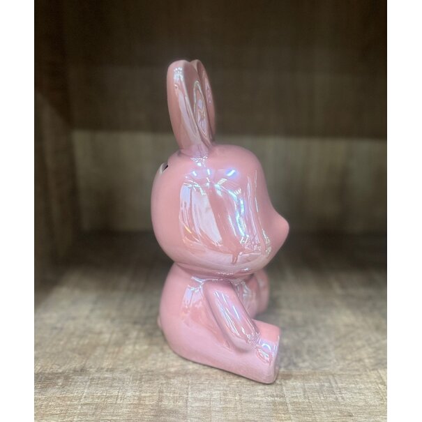 Countryfield Spaarhaas Pascal L roze