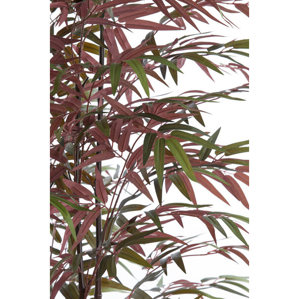 Light en Living Ornament in pot 70x60x180 cm BAMBOO naturel+groen/rood