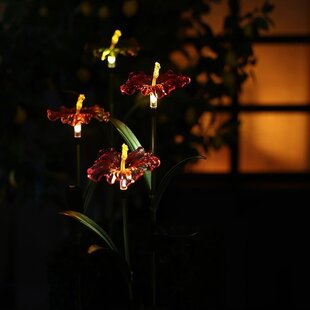 Tuinsteker Hibiscus Solar LED - set van 4