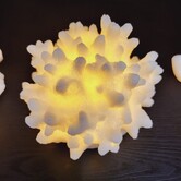 Tafellamp Led Graeme Wit rond Koraal klein