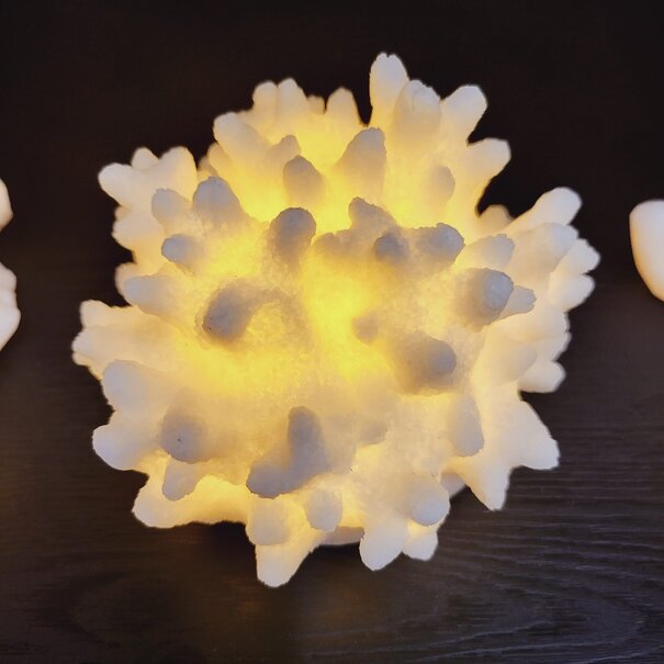 PTMD Tafellamp Led Graeme Wit rond Koraal klein