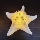 Tafellamp Graeme Wit Zeester sea star shaped LED lamp S