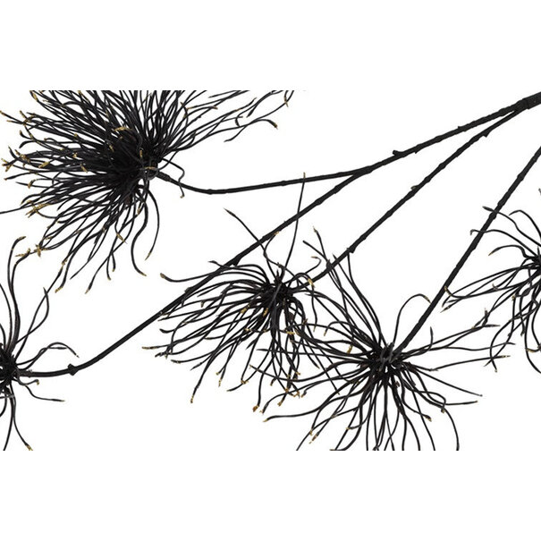 Countryfield Kunstbloem Grevillea M zwart