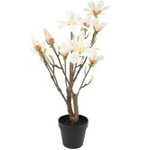 Kunstplant Magnolia S wit 54 cm hoog