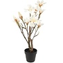 Kunstplant Magnolia S wit 54 cm hoog
