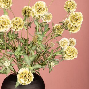 Kunsttak Groen Scabiosa