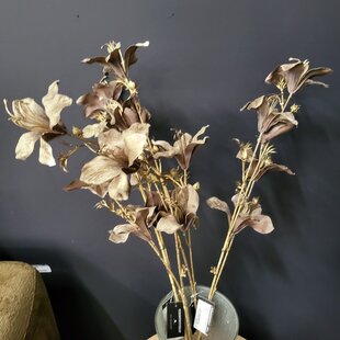 Kunsttak Bauhinia bruin