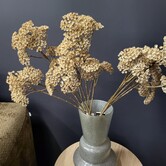 Kunsttak Achillea creme