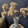 Kunsttak Achillea creme