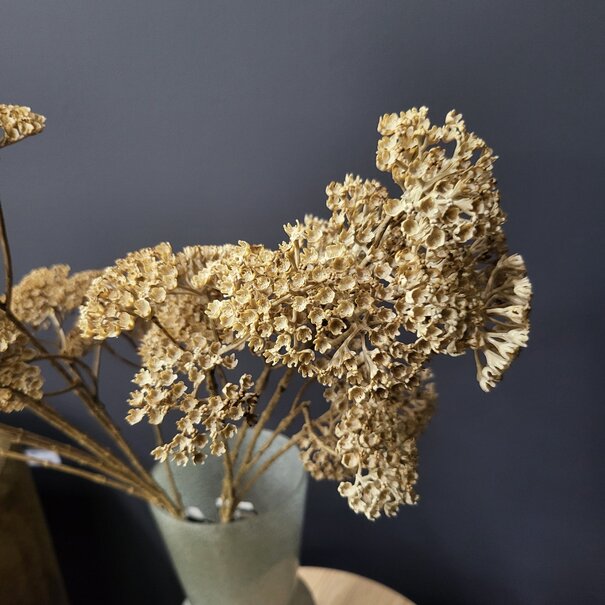 Countryfield Kunsttak Achillea creme