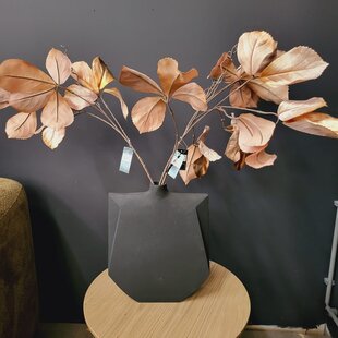 Kunsttak Parthenocissus S bruin
