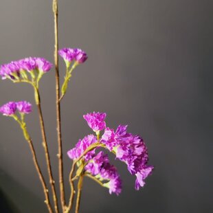 Kunsttak Limonium 70 cm lavendel