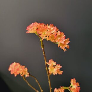 Kunsttak Limonium 70 cm Oranje