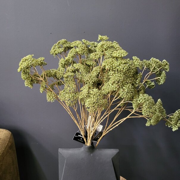 Countryfield Kunsttak Achillea groen