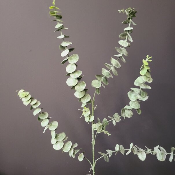 Countryfield Countryfield Kunsttak Eucalyptus Groen 88 cm