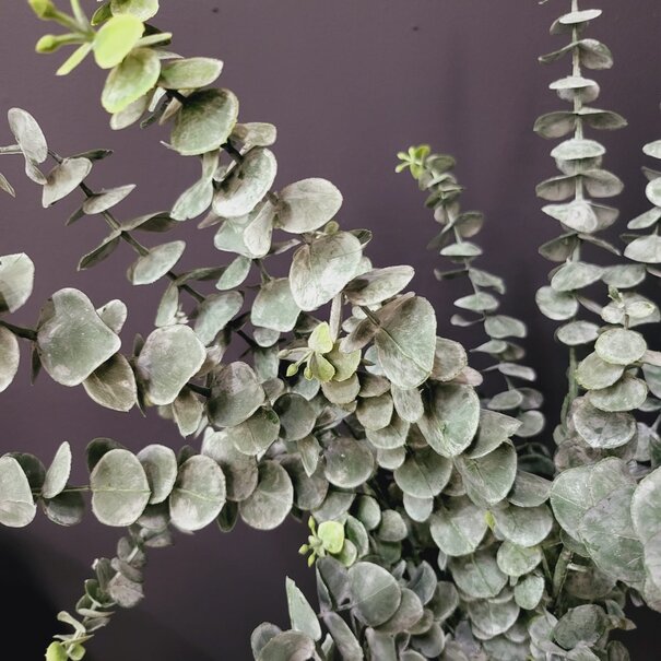 Countryfield Countryfield Kunsttak Eucalyptus Groen 88 cm