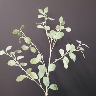 Tak Eucalyptus groen 3