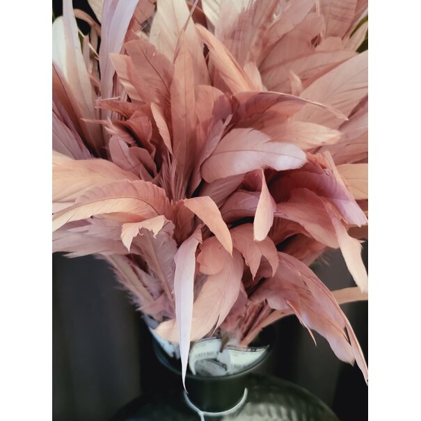 Light en Living Ornament Ø25 x 70 cm Plum oud roze