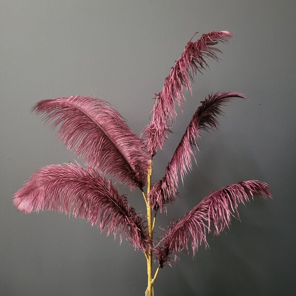 Light en Living Ornament 5 veren 129 cm FEATHER donker rood-paars
