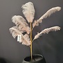 Ornament 5 veren 129 cm FEATHER licht oud roze