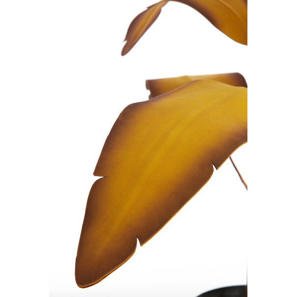 Parlane Ornament in pot STRELITZIA goud-bruin+zwart - Ø110 cm