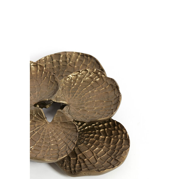 Light en Living Wandornament 39X38X6 cm SOLASSI goud