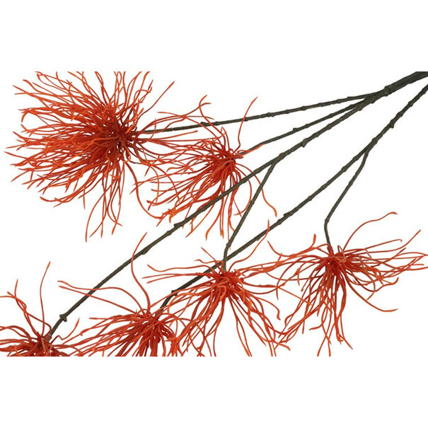 Countryfield Kunstbloem Grevillea M oranje