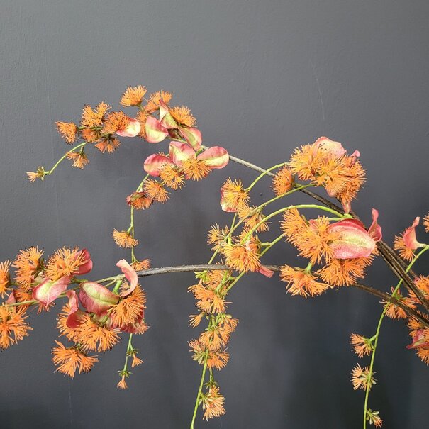 Countryfield Kunstbloem Akebia L oranje