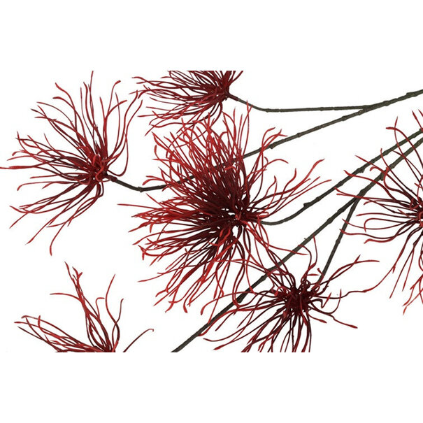 Countryfield Kunstbloem Grevillea M Rood Paars