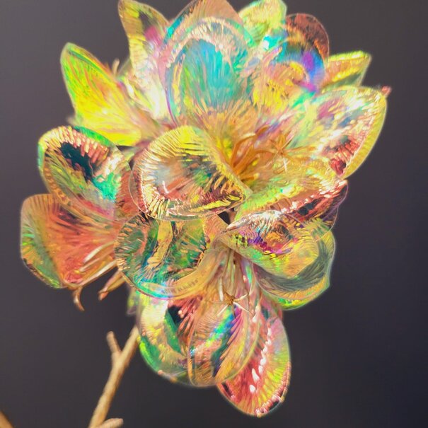 Countryfield Kunstbloem vertakt Plumeria M roze