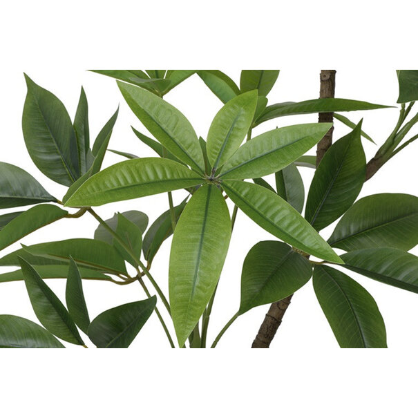 Countryfield Kunstplant in pot Pachira groen-L 25 x B 25 x H 190 CM