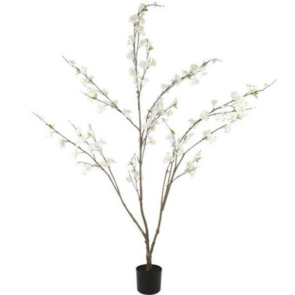 Countryfield Kunstplant Prunus M wit - L 50 x B 50 x H 185 CM