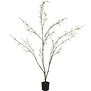 Kunstplant Prunus M wit - L 50 x B 50 x H 185 CM