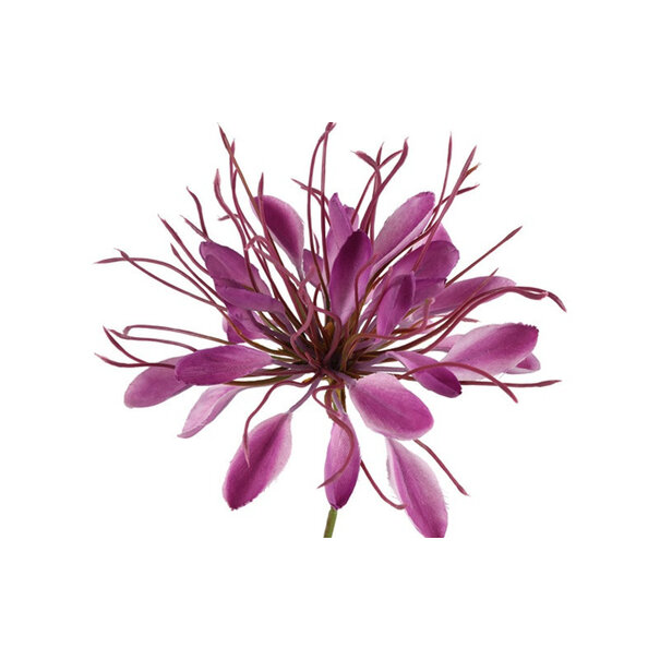 Countryfield Kunstbloem Lycoris paars - L 12 x B 8 x H 94 CM