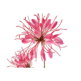 Kunstbloem Lycoris donkerroze - L 12 x B 8 x H 94 CM