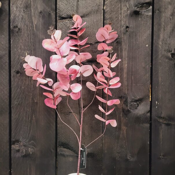 Countryfield Kunstblad Eucalipthus Cinerea roze