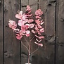 Kunstblad Eucalipthus Cinerea roze