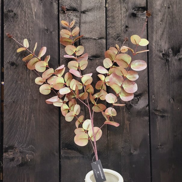 Countryfield Kunstblad Eucalipthus Cinerea bruin