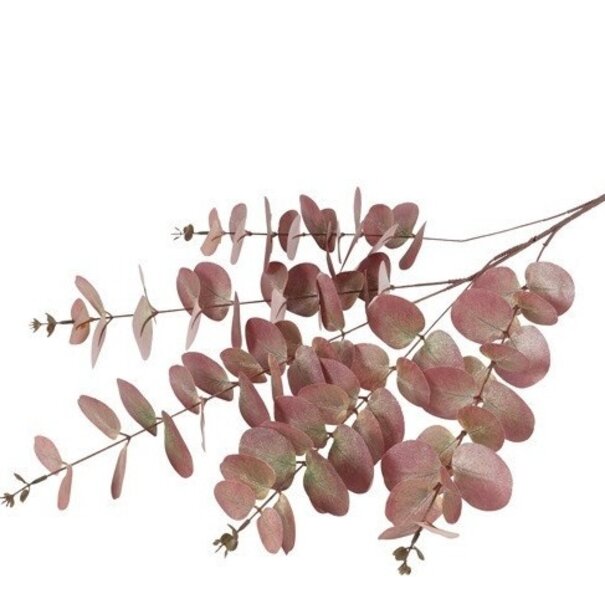 Countryfield Kunstblad Eucalipthus Cinerea bruin