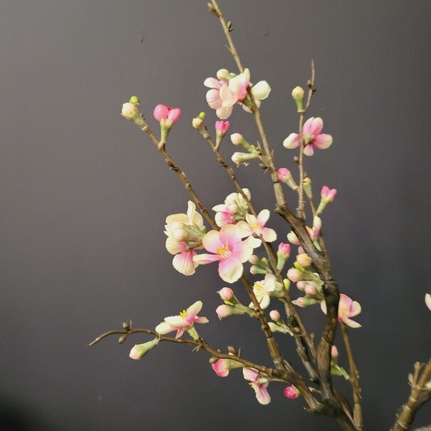 Countryfield Kunsttak Bloesem Quince S roze