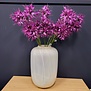 Kunstbloem Lycoris paars - L 12 x B 8 x H 94 CM